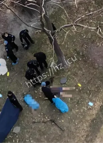 男友拉拽跳楼女友